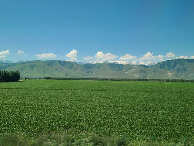 20240625_235302_355.png