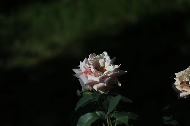 20240626_083551_093.png