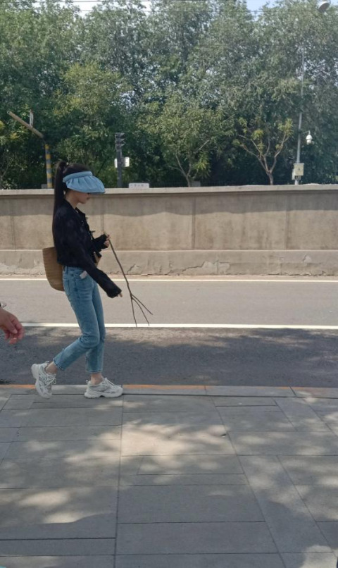 焦晨婧