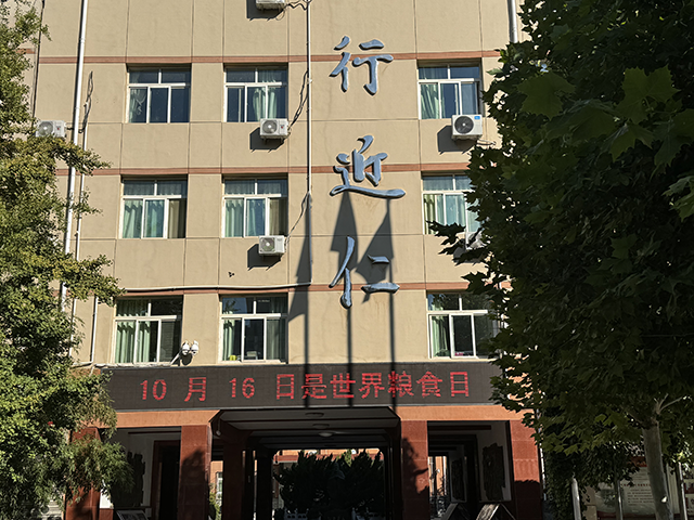 世界粮食日_11.png