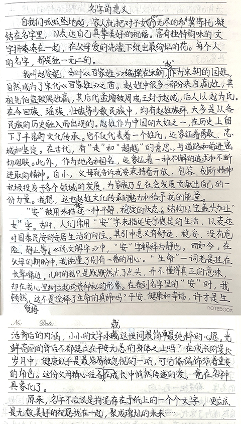 赵安妮.png