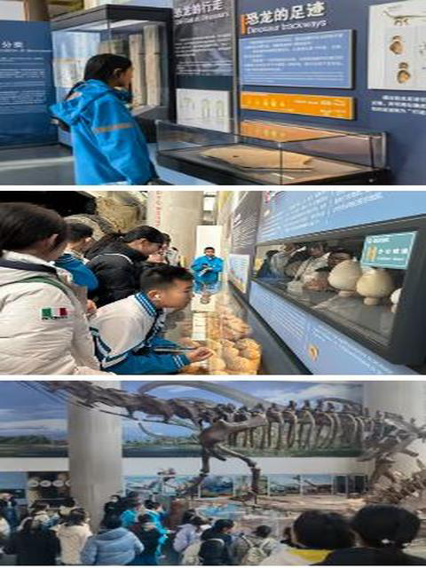 活动照片上传_图30走进古生物所.png