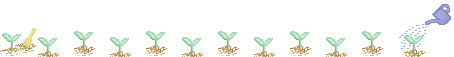 分隔线2.png
