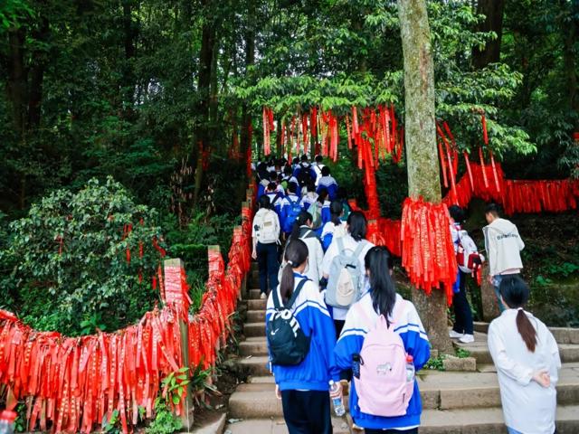 高一研学2025年上传_20250426_194508_088.jpg