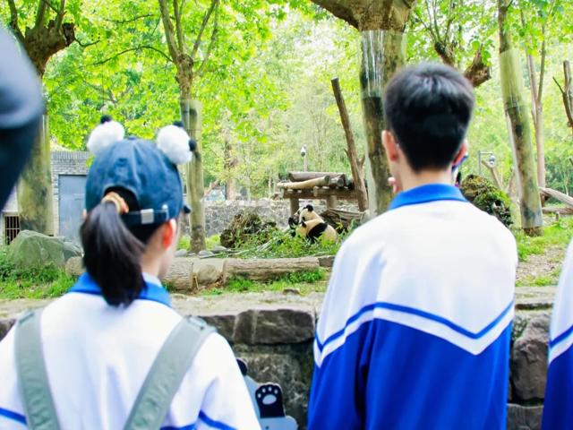 高一研学2025年上传_20250426_194508_079.jpg