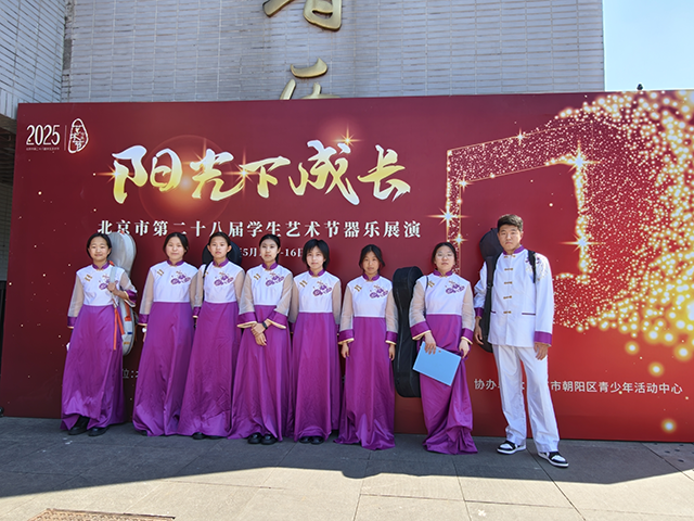 民乐团照片视频_琵琶.png