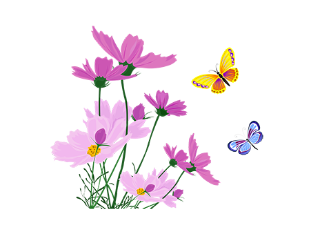 花朵.png