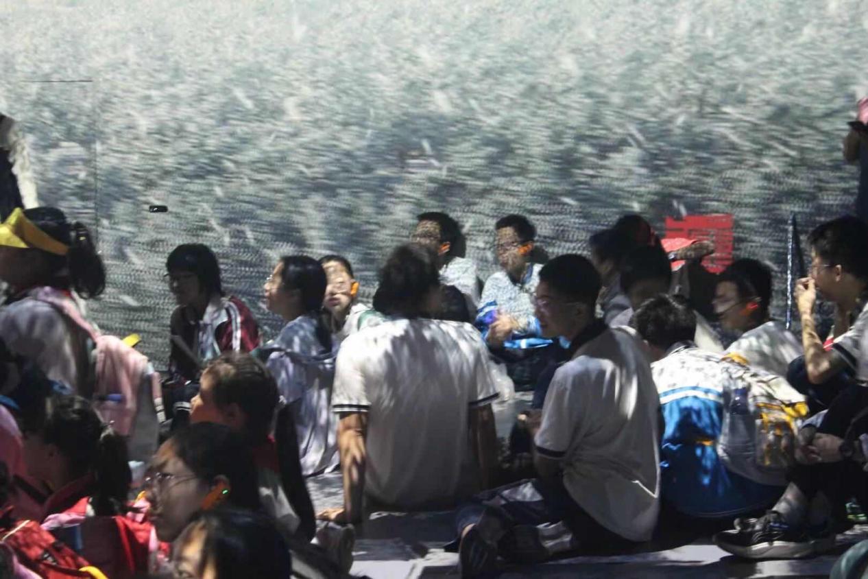 博物馆图片两张-15