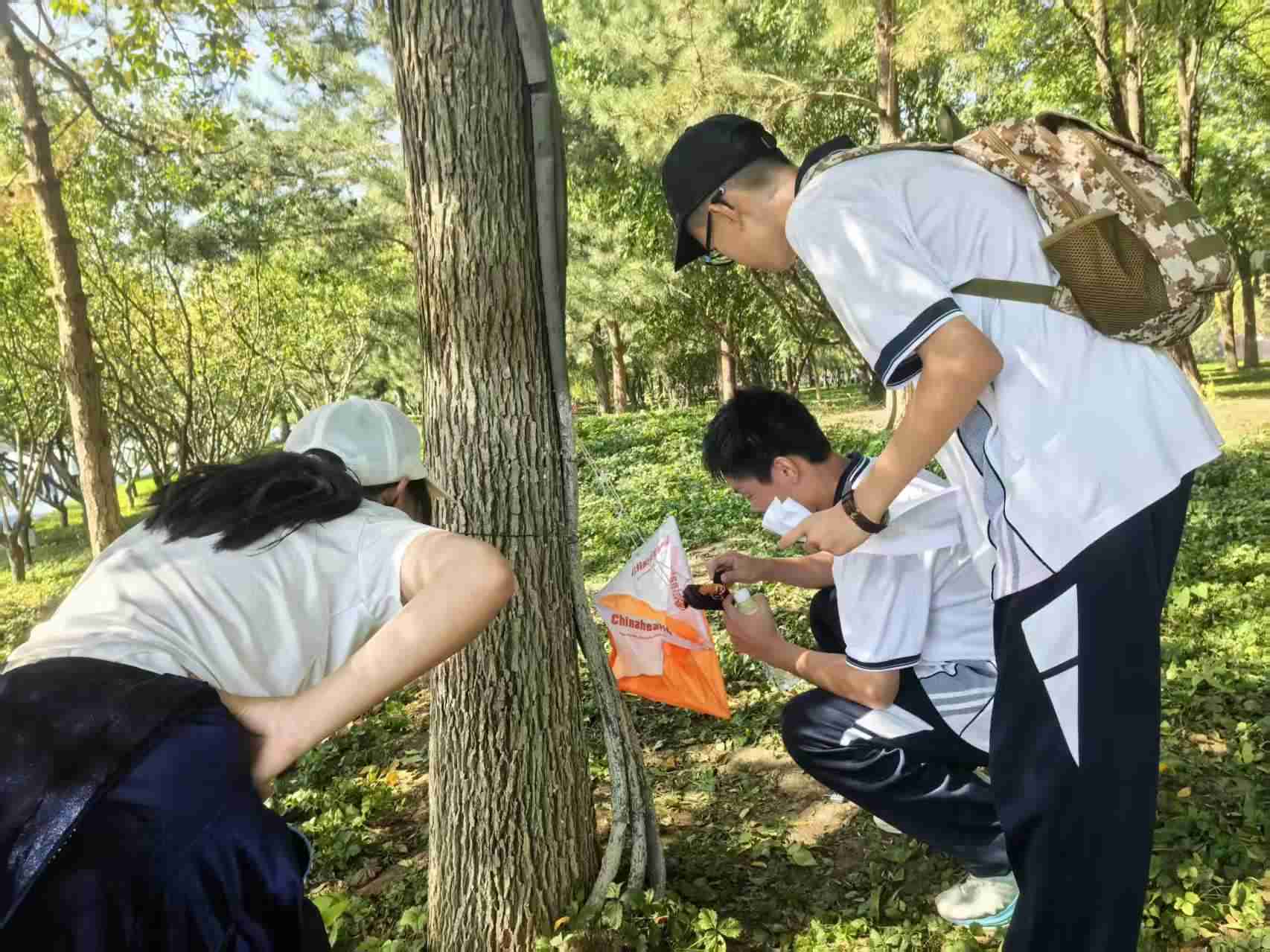 主题定向活动两张-5